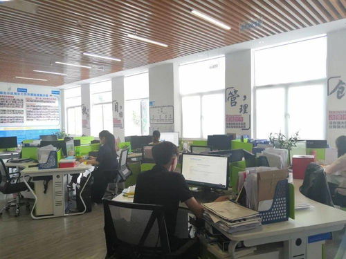 保亭縣電子商務(wù)公共服務(wù)中心誠邀英才，共促商務(wù)信息咨詢服務(wù)發(fā)展